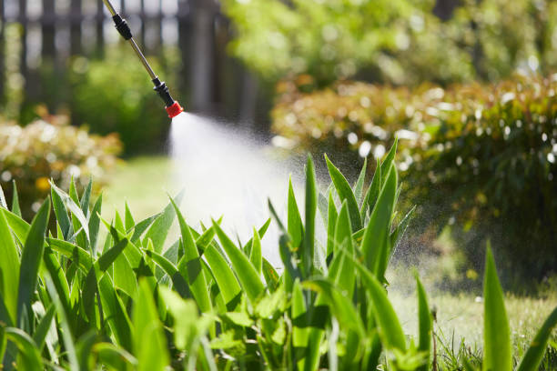 Tamper-Resistant Bait Stations for Rodents in Kennedy