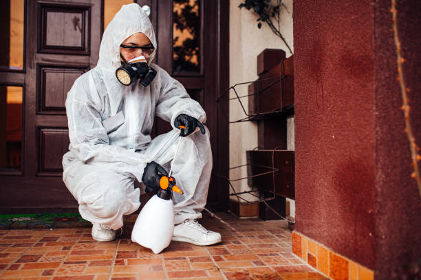 Attic and Crawl Space Rodent Treatment in Kennedy